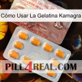 Cómo Usar La Gelatina Kamagra new13